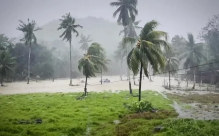 Centuries-Old Shipping Relic Unearthed by Typhoon’s Force