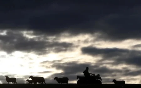 Budget Uncertainty Threatens Young Farmers as Sales Dwindle After 100 Years