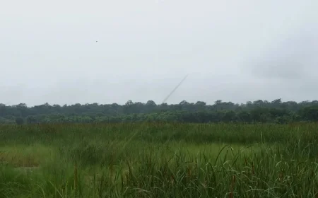 Weekend Weather Forecast: Expect Milder Temperatures and Unsettled Conditions