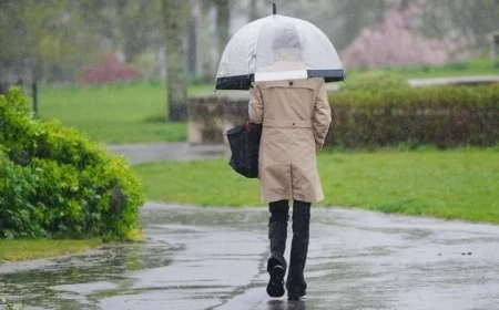 Status Yellow Fog Warning for 11 Counties Just Before Wet and Blustery Weekend