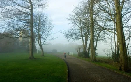 Dense Fog Alert Issued for 11 Counties This Morning in Status Yellow Warning