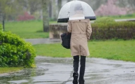 Protest Erupts with Car Honks and Funeral March Following Bolsonaro’s Preventive Detention by Federal Police
