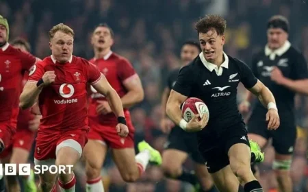 Wales vs New Zealand Live Score: Autumn Internationals Rugby Updates and Lineups