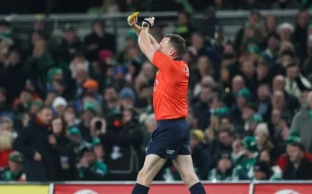 Ireland Fans Outraged by Referee’s First-Half Decisions in South Africa Test Match