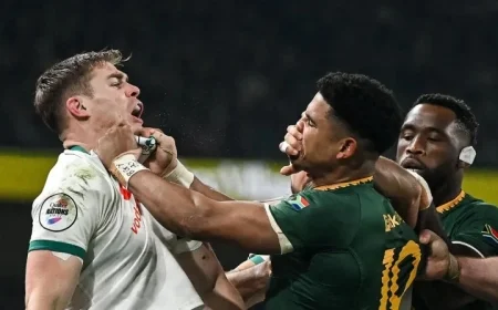 Ireland Fans Outraged by Huge Referee Oversight Against Springboks