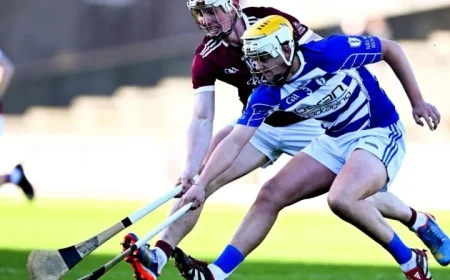 St Martin’s Dominates Naas to Secure Spot in Leinster Club Semi-Final