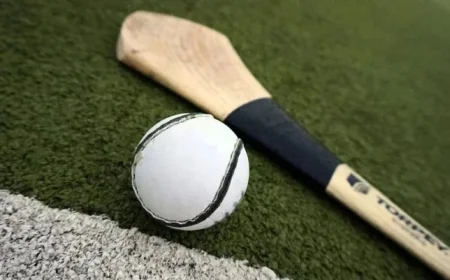 Kilkenny Set to Clash with Wexford in Exciting Leinster Club Hurling Final