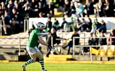 Ballyhale Shamrocks Secure Leinster SHC Final Spot but Henry Shefflin Expresses Concern After Clough-Ballacolla Clash
