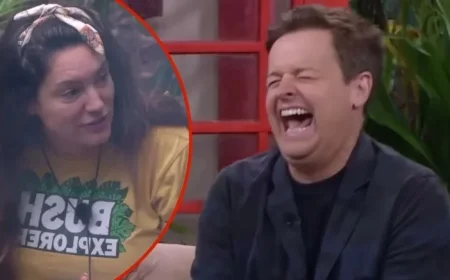 I’m A Celebrity Hosts Ant and Dec Humorously Address Kelly Brook Feud
