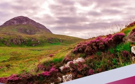 Donegal Biodiversity Boost: Over €97000 Funded for Seven Local Conservation Projects