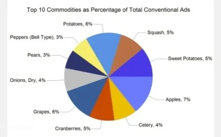 Thanksgiving Week Sparks 17 Percent Increase in U.S. Produce Advertisements