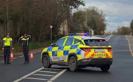 Tragic Loss Shocks All as Bus Éireann Honors Bus Driver Killed in Multi-Vehicle Crash with Lorry Driver in Co Meath