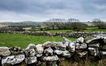 Met Éireann Forecasts a Week of Varied Weather Conditions Across Ireland