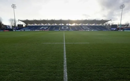 Laya Arena unveiled as the new name for RDS Stadium