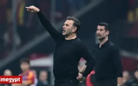 Napoli Triumphs with 2-0 Victory Over Qarabağ in UEFA Champions League Group Stage Showdown