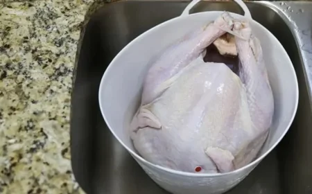 Ensure Timely Thanksgiving Dinner: Essential Guide to Thawing Your Turkey on Time