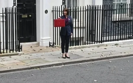 Public Opinion Insights on the 2025 Budget Preview