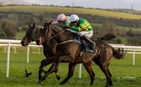 Gaelic Warrior and Fact To File Prepare for Epic Rematch as Punchestown Stars Enter King George Stakes