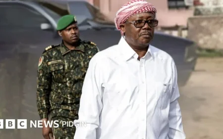 Guinea-Bissau Coup: President Umaro Sissoco Embaló Detained by Armed Forces in Sudden Power Shift