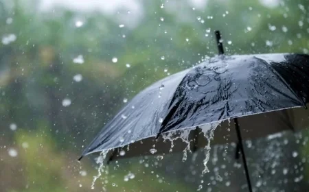 Ireland Weather Update: Expect a Week of Unsettled Conditions with Milder Temperatures and Rain