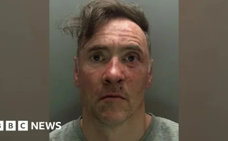 Paul Doyle admits guilt to 31 charges linked to Liverpool parade