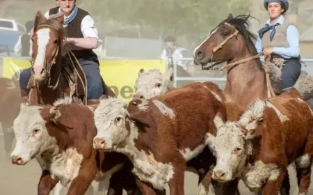 Record Participation in El Calafate as 27 Teams Compete in Upcoming Aparte Campero Event