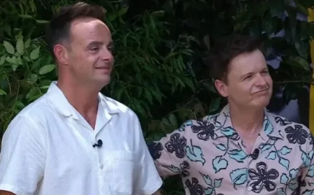 Ant and Dec Address I’m A Celebrity Injury Concerns from Fans