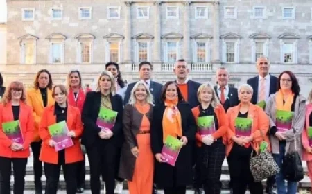 Ireland Expands Social Welfare Benefits: New Groups Qualify for Enhanced €312 Payment