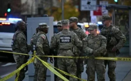 Discover the Number of Migrants to Ireland Last Year and the Asylum Seeker Count