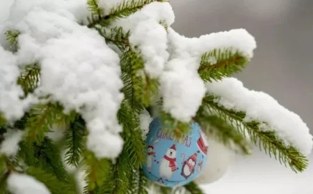 Experts predict chances of a white Christmas this year