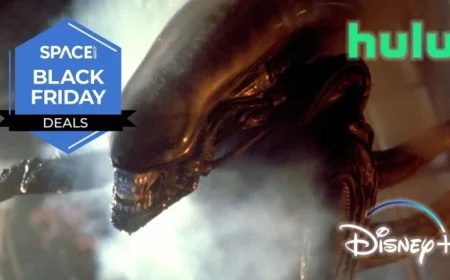 Discover a Massive 62 Percent Black Friday Discount on My Favorite Streaming Service