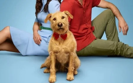 Merv Movie (2025): Release Date, Cast, Reviews, Trailer on Amazon Prime