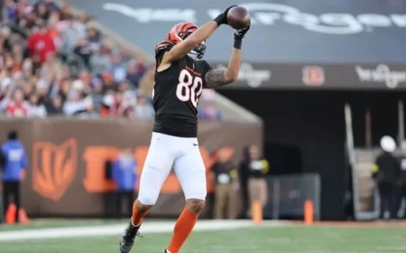 Fantasy Football Week 13: Waiver Wire Showdown – Metchie III vs. Iosivas