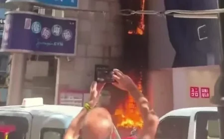 Artificial Grass Wall at Lee Theatre Ignites, Cigarette Butt Suspected