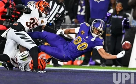 Captivating Photo from Cincinnati Bengals vs Baltimore Ravens Showdown in Baltimore BAL20251127135