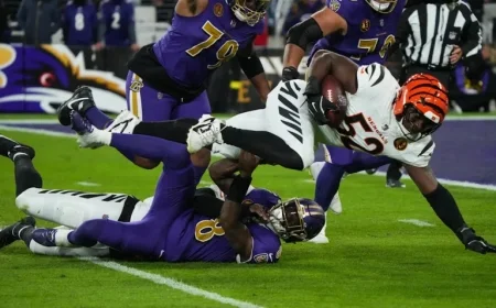 Bengals Climb to 12th in AFC Playoff Standings: Latest Postseason Picture Unveiled