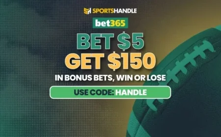 bet365 Bonus Code Offers Top NFL Thanksgiving Promo for Packers vs. Lions