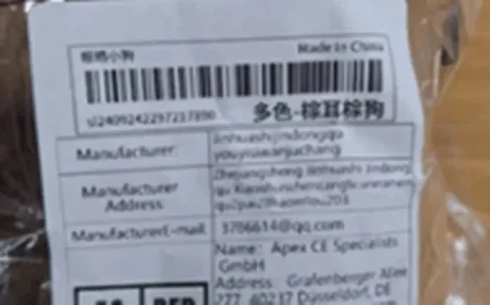 Urgent Warning for Irish Parents Stop Using Recalled Shein Children’s Item Now