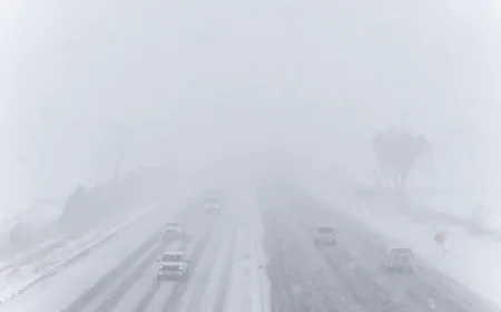 Massive Winter Storm Blankets Ontario with Up to 70 cm of Snow in Some Areas