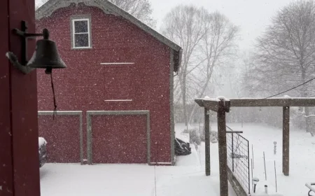 Thanksgiving Snowfall Totals Across Northeast Ohio: City and County Breakdown