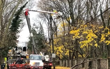 Cleveland Heights Power Outages Triggered by High Winds