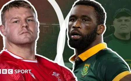 Wales vs South Africa Springboks Captain Siya Kolisi Expresses Frustration Over Negative Fixture Reactions