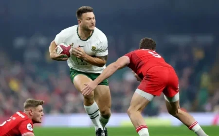 Live Rugby Action: Wales vs South Africa Test Match Scores and Highlights for November 29 2025