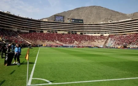Palmeiras Bus Delay Causes 15-Minute Postponement of Libertadores Final