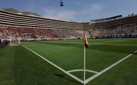 Logistical Issues Delay Libertadores Final Start by 15 Minutes