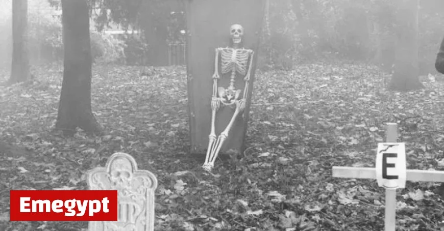 Stay Safe This Halloween: Emergency Services Urge Public to Take Extra Precautions