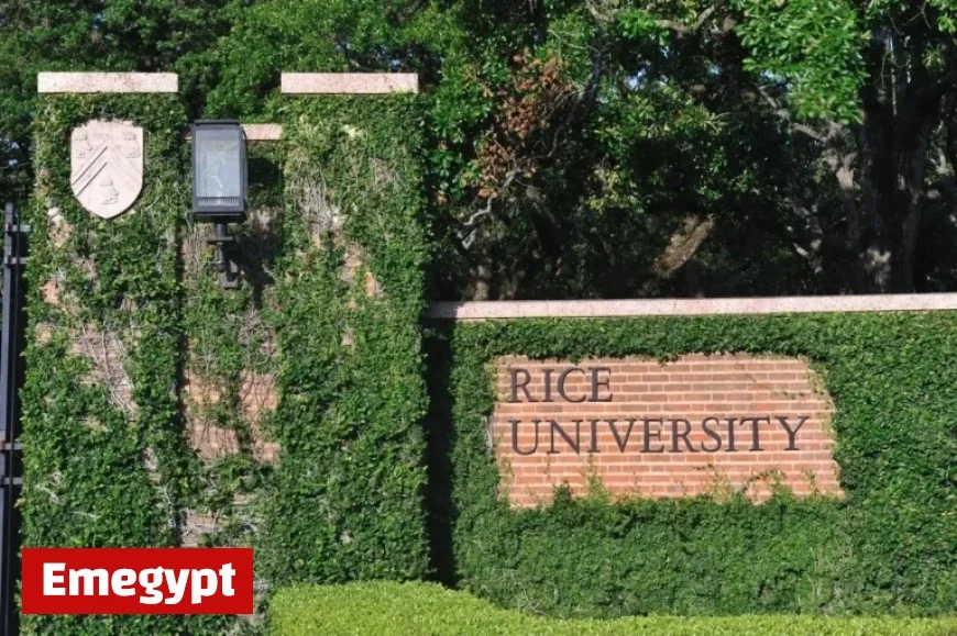 Four Universities Announce Major Investments in Brain Research