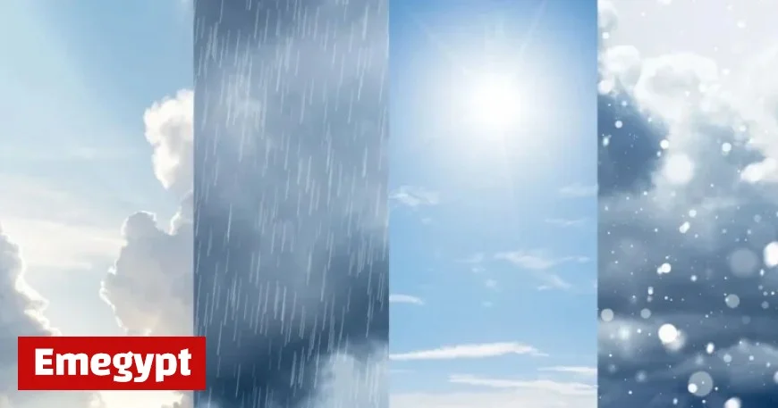 Toronto’s October 31 Forecast: Expect Showers