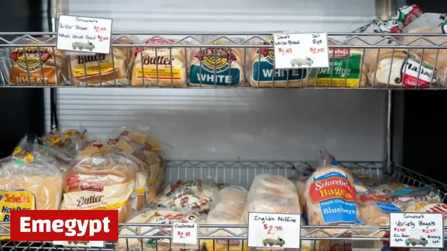 Florida Democrats Urge DeSantis to Secure SNAP Food Benefits