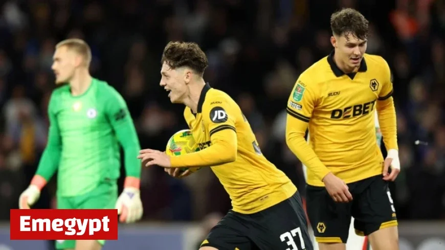 Fulham vs Wolves Match Preview: Key Features and Insights